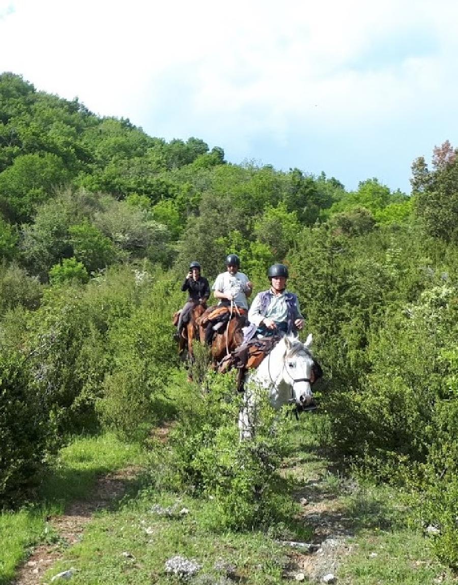 Randonne questre Hrault PNR du Haut-Languedoc photo 3