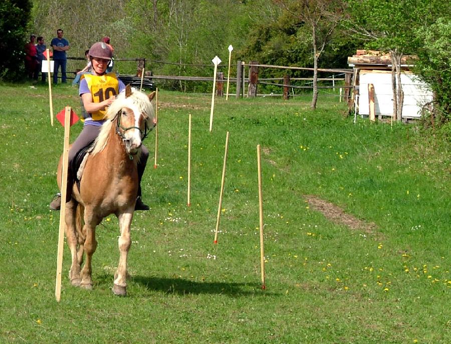 Stage quitation   photo 2