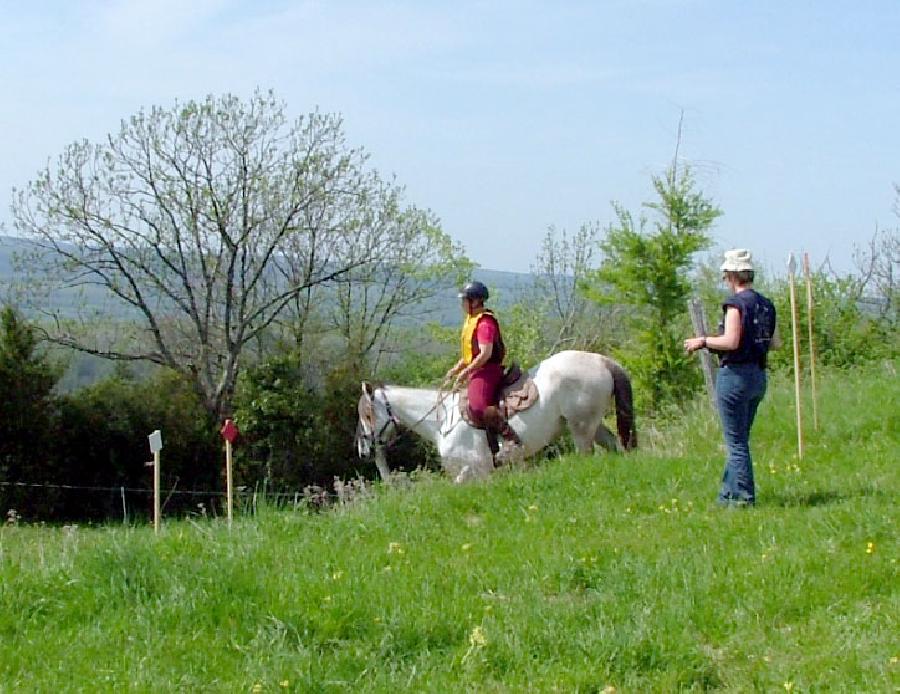 Sjour questre Jura PNR du Haut-Jura photo 3