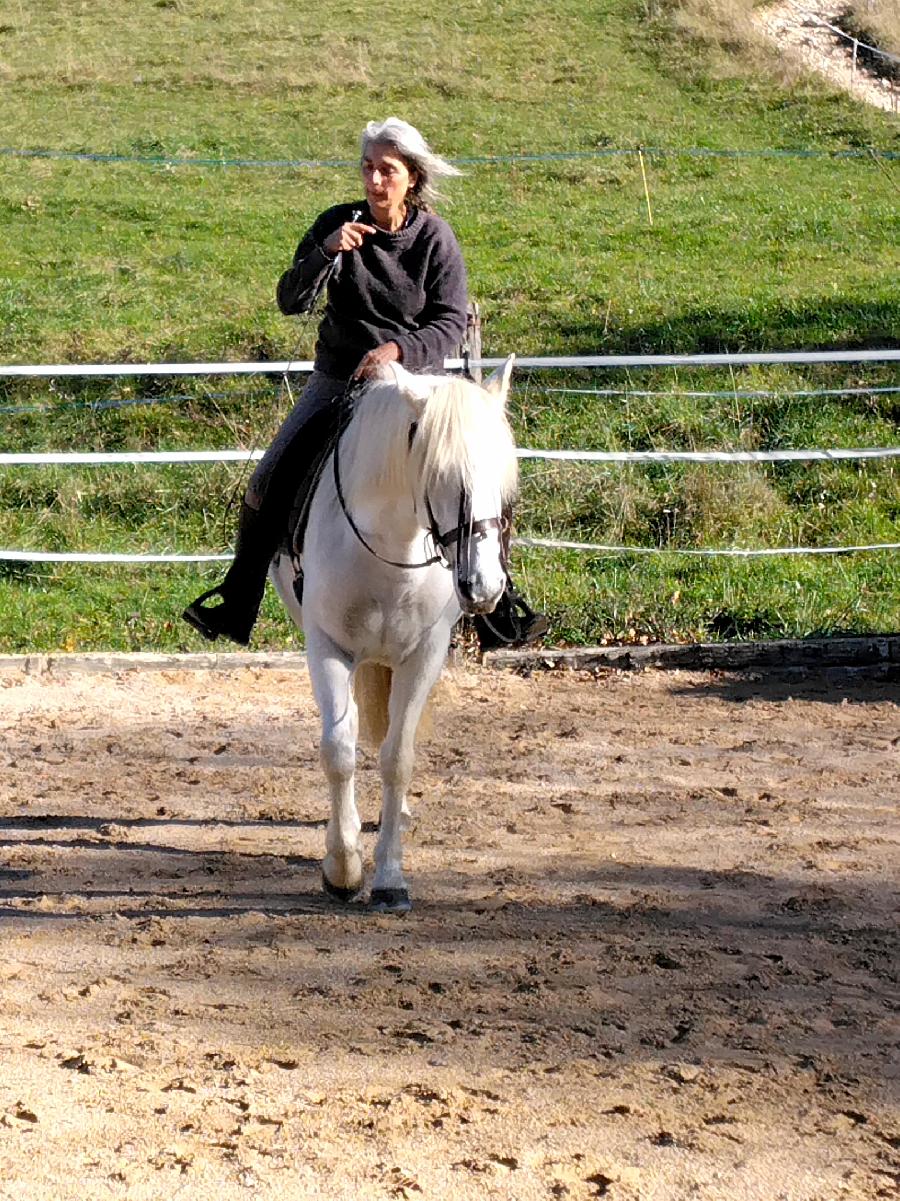 Stage quitation   photo 2