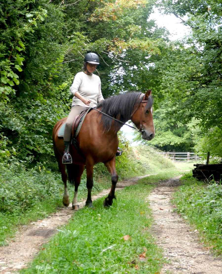 Stage quitation   photo 3