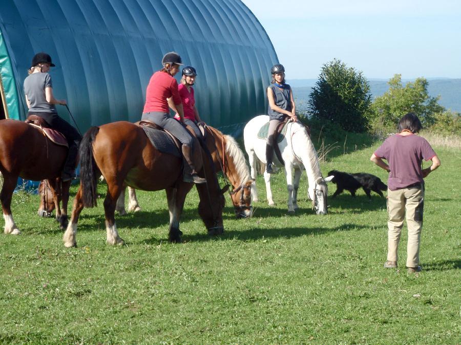 Stage quitation   photo 5