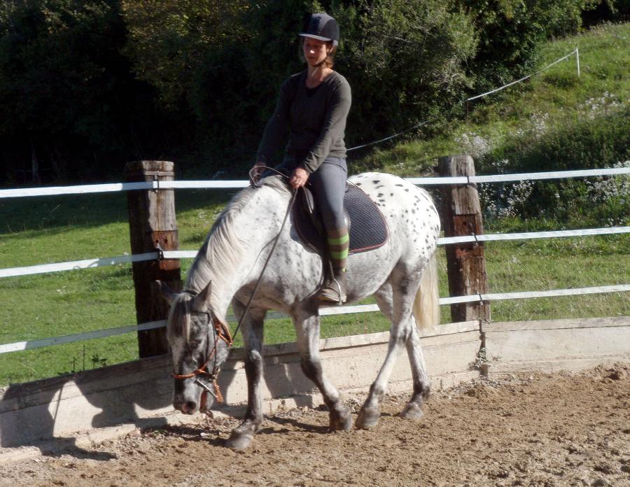 Stage quitation   photo 3