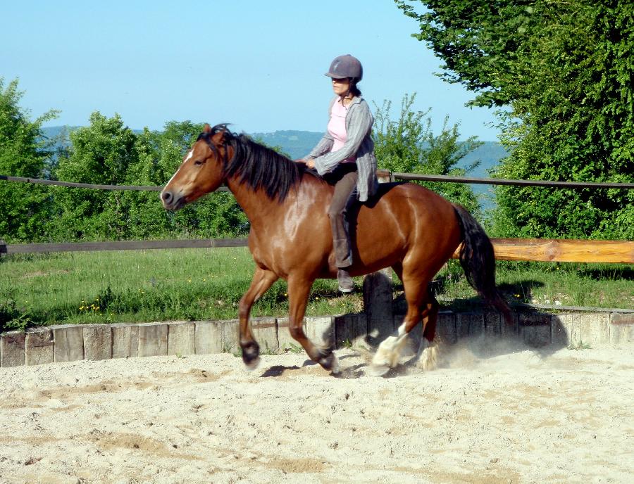 Sjour questre   photo 4