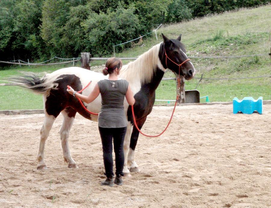 Stage quitation   photo 2
