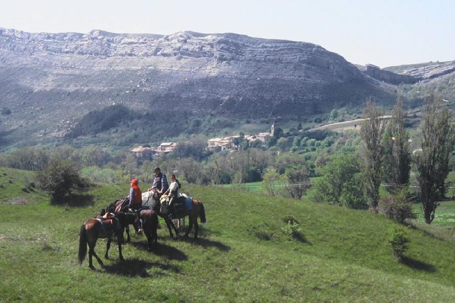 Sjour questre Alpes de Haute-Provence Provence photo 4