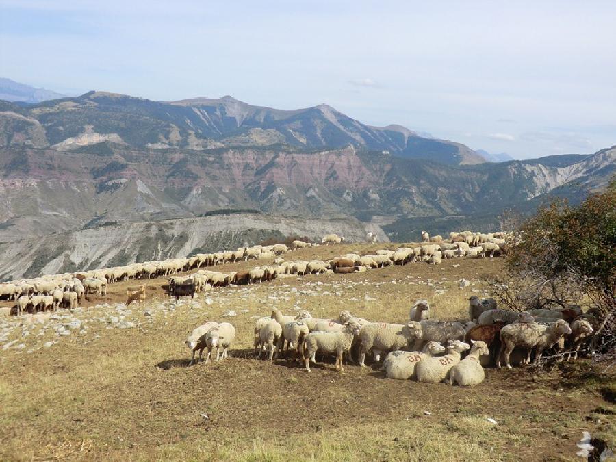 Sjour questre Alpes de Haute-Provence Provence photo 6