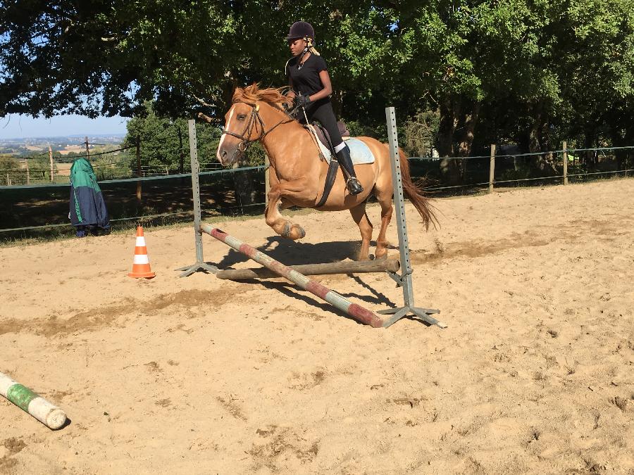 Stage quitation   photo 4