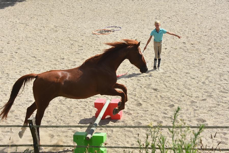 Stage quitation   photo 5