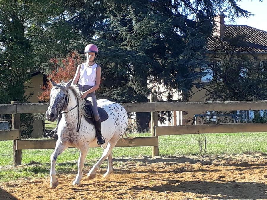 Stage �quitation   photo 2