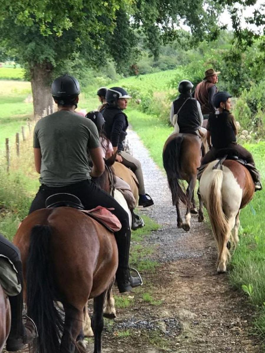 Stage �quitation   photo 4