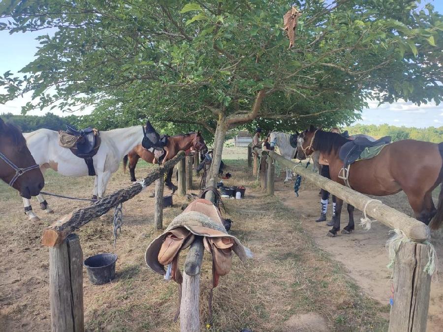 Stage �quitation   photo 5