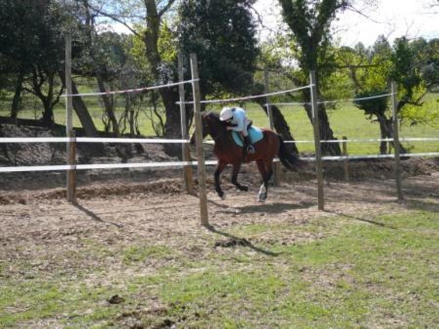 Stage �quitation   photo 2