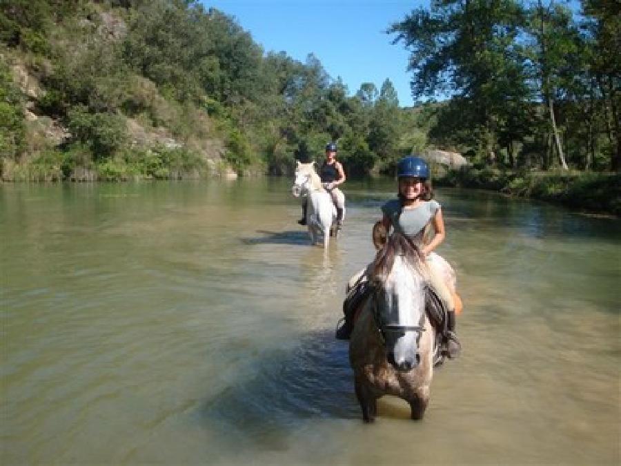 Stage �quitation   photo 5