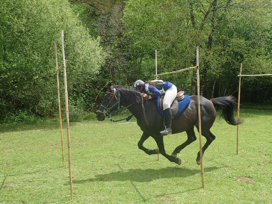 Stage quitation Haute-Vienne Limousin