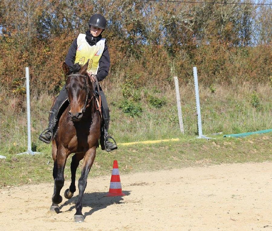 Balade  cheval Haute-Vienne Limousin photo 2