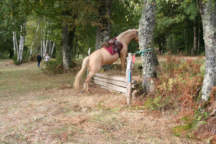 Stage quitation   photo 3