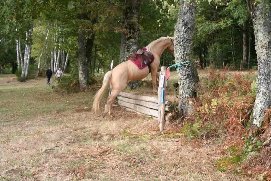 Balade  cheval Haute-Vienne Limousin photo 3