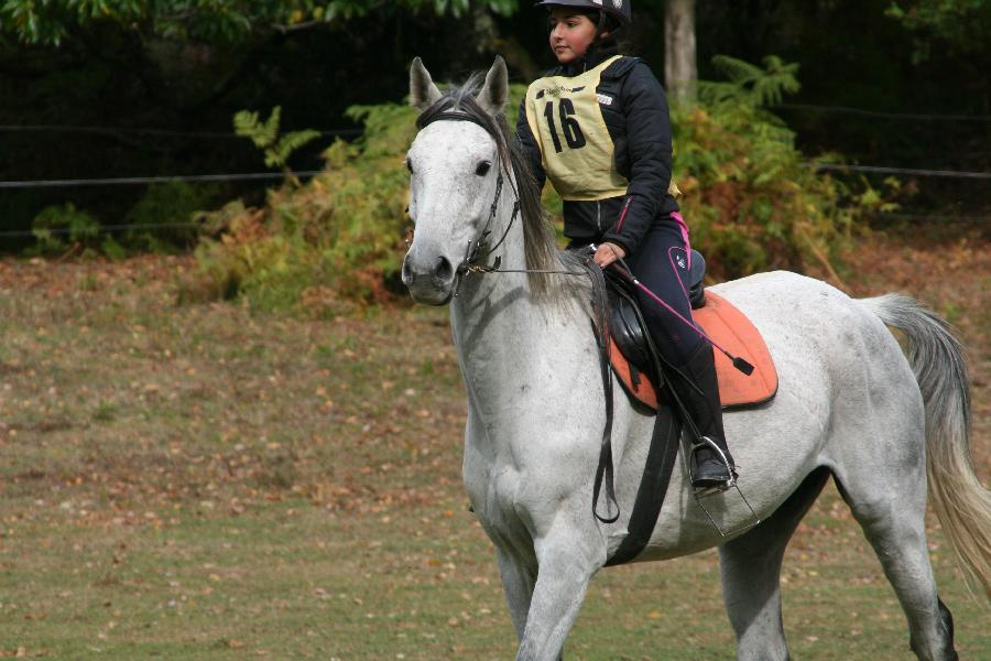 Balade  cheval Haute-Vienne Limousin photo 4