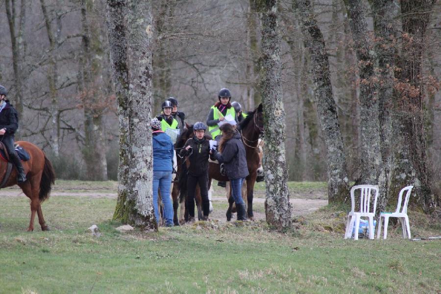 Balade  cheval Haute-Vienne Limousin photo 5