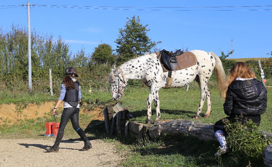 Balade  cheval Haute-Vienne Limousin photo 6