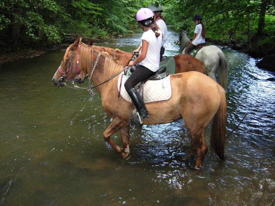 Balade  cheval Haute-Vienne Limousin photo 2