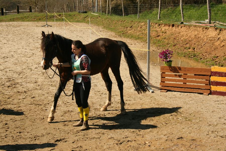 Stage quitation Haute-Vienne Limousin photo 3