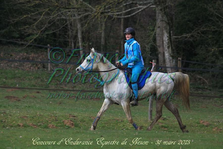 Stage quitation Haute-Vienne Limousin photo 5