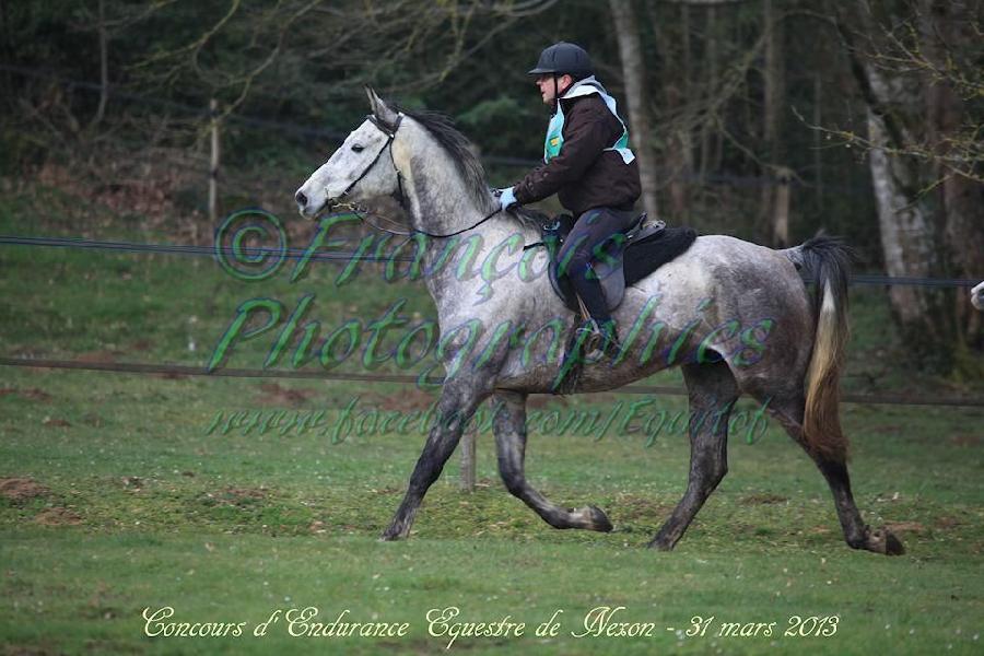 Stage quitation   photo 6