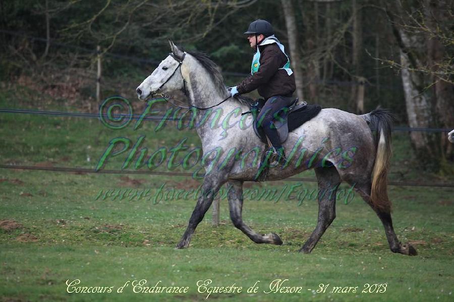 Stage quitation Haute-Vienne Limousin photo 6