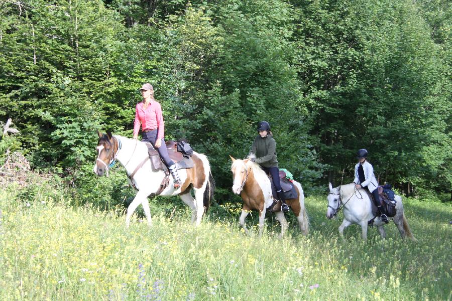 Stage quitation   photo 3