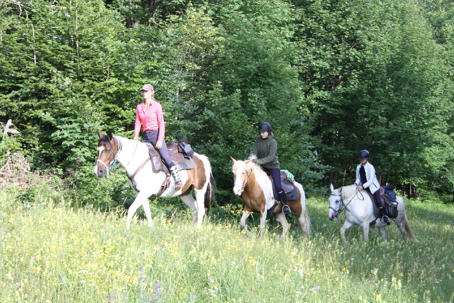 Stage quitation Drme PNR du Vercors photo 3