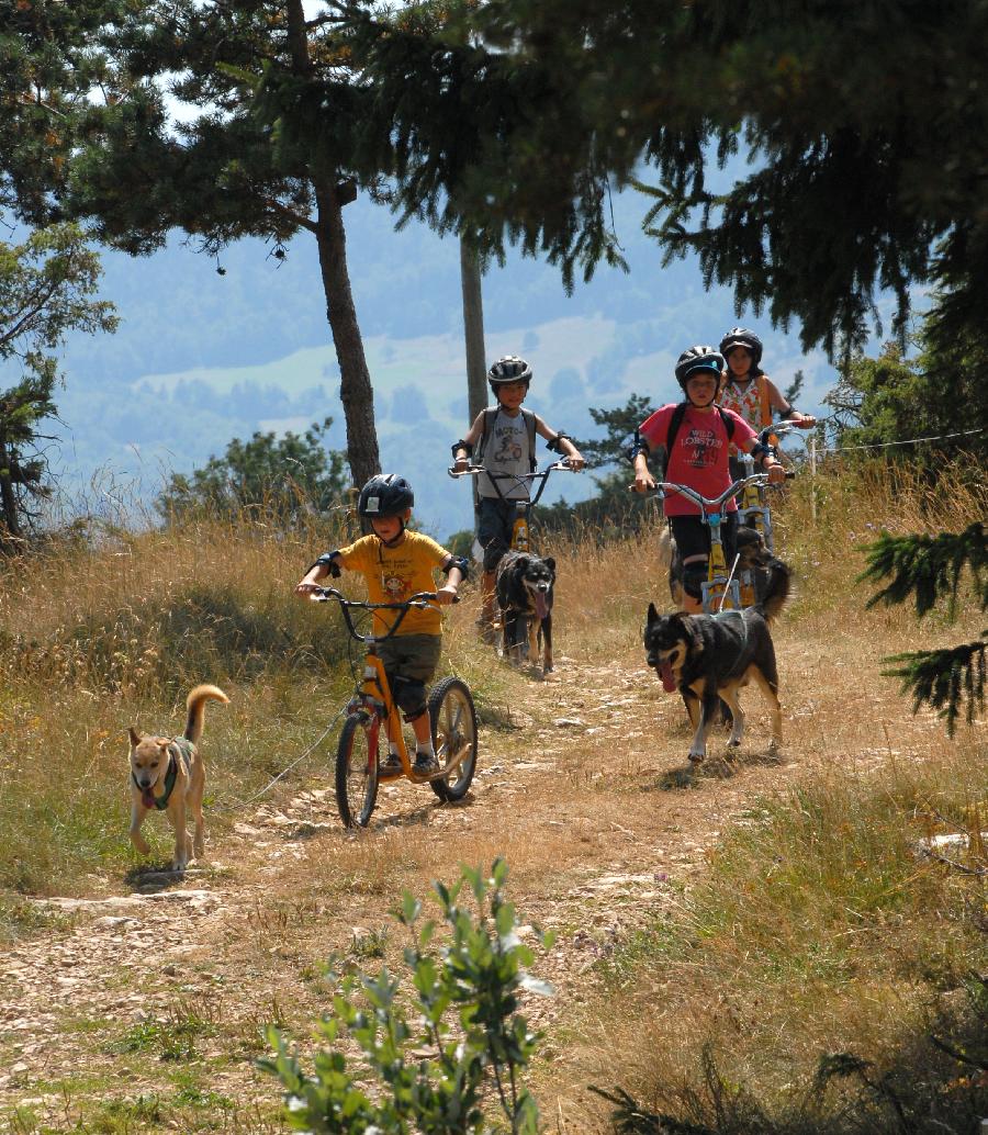 Stage quitation Drme PNR du Vercors