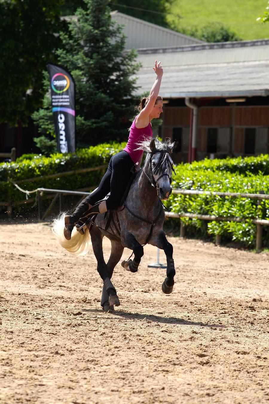 Stage quitation   photo 2