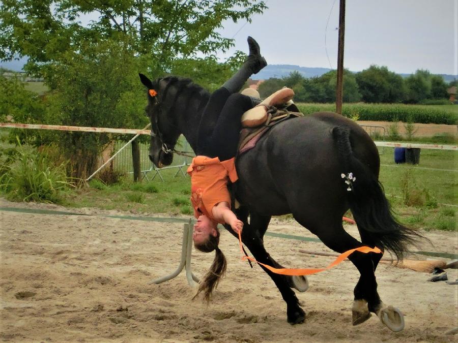 Stage quitation   photo 3