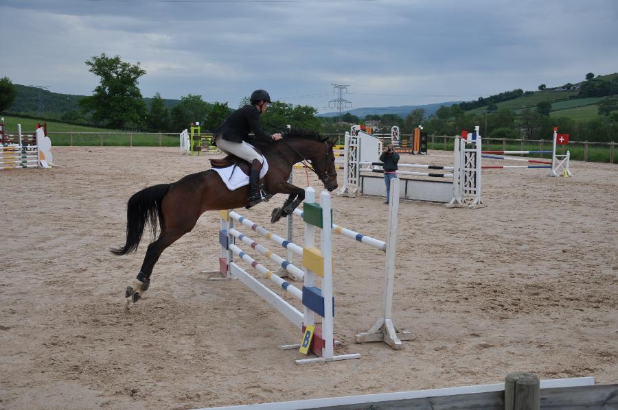 stage Equitation classique Sane-et-Loire