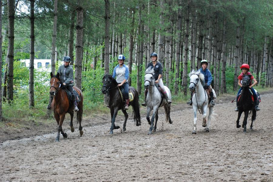 stage Equitation classique Sane-et-Loire