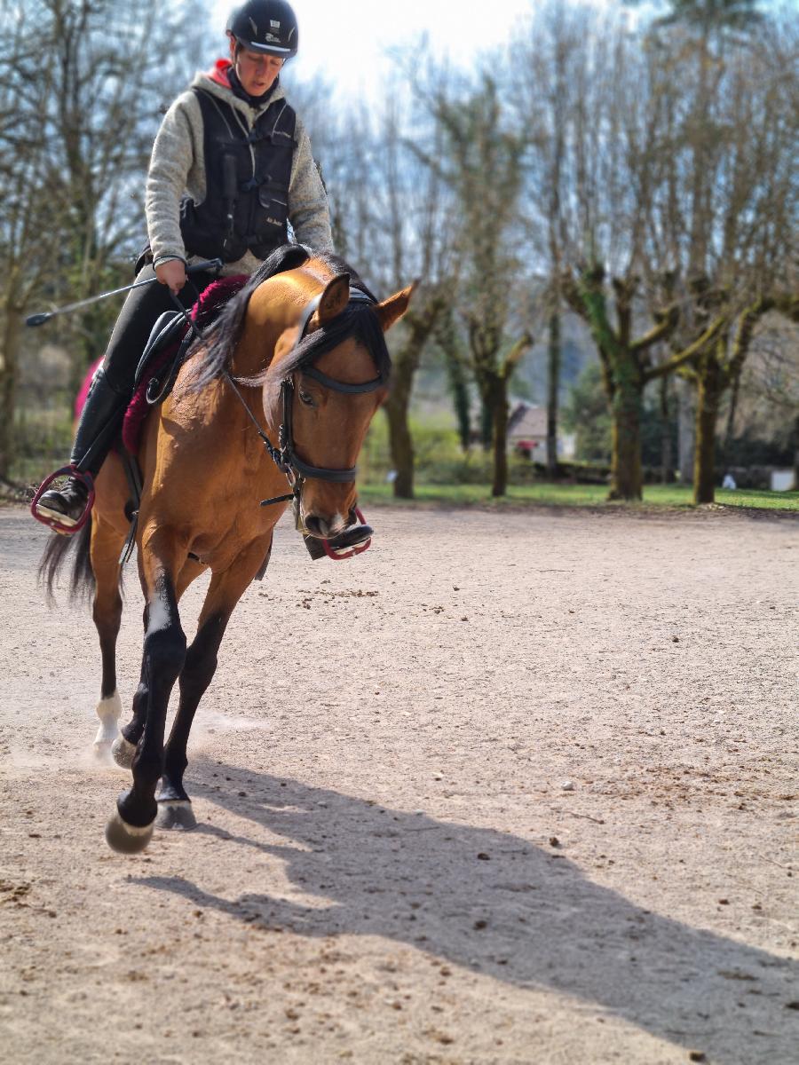 Stage quitation   photo 2