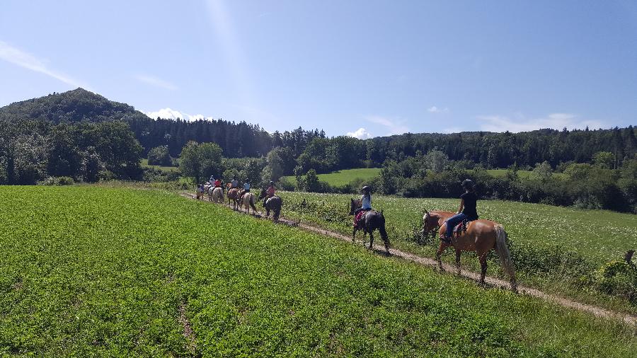 stage Stage questre multi-activits Jura