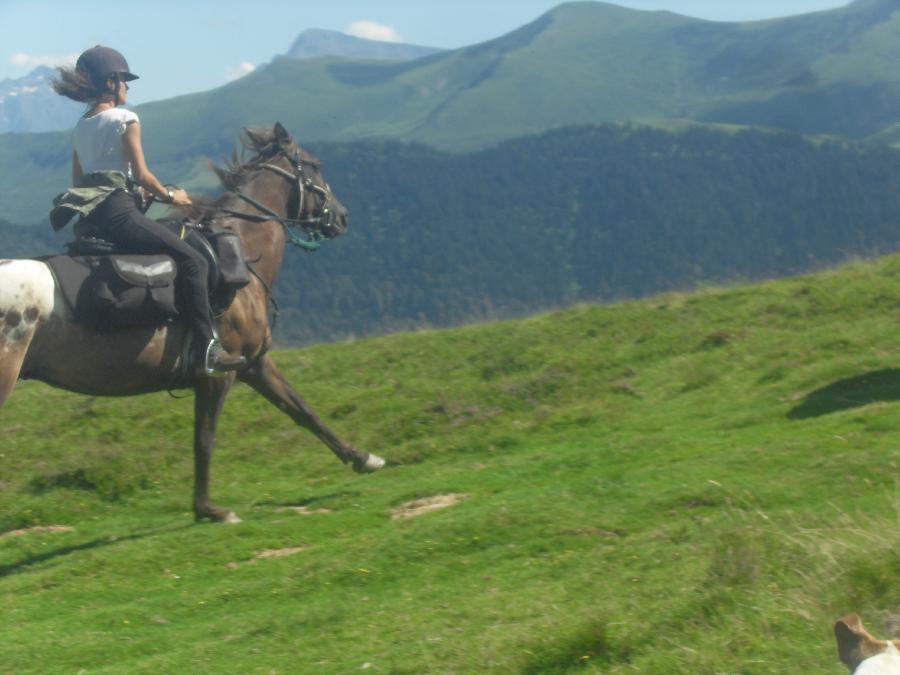 sejour Haute-Garonne  photo 4