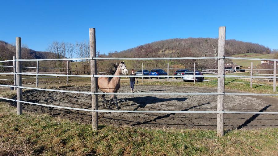 Stage quitation   photo 3