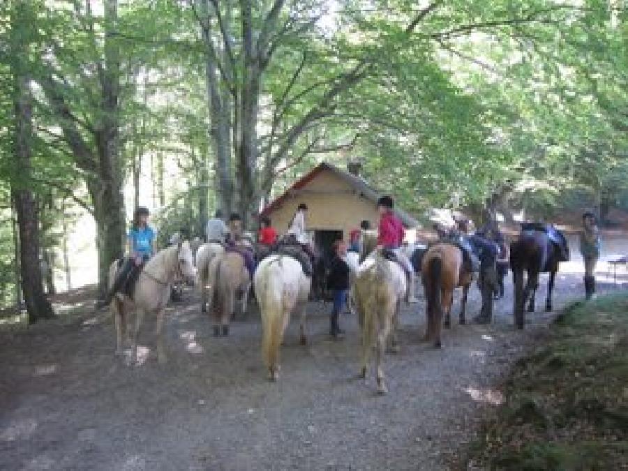 Stage quitation   photo 2