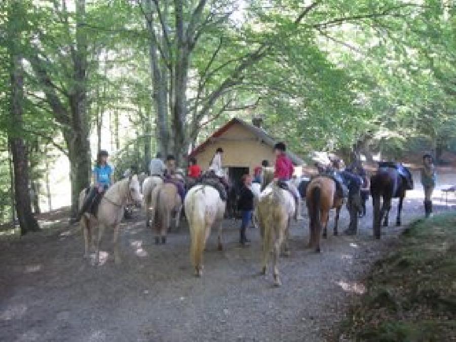 Stage quitation Haute-Garonne  photo 2