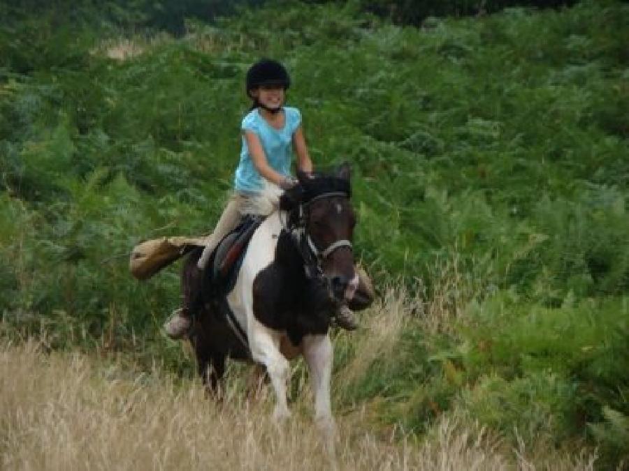 Stage quitation   photo 3
