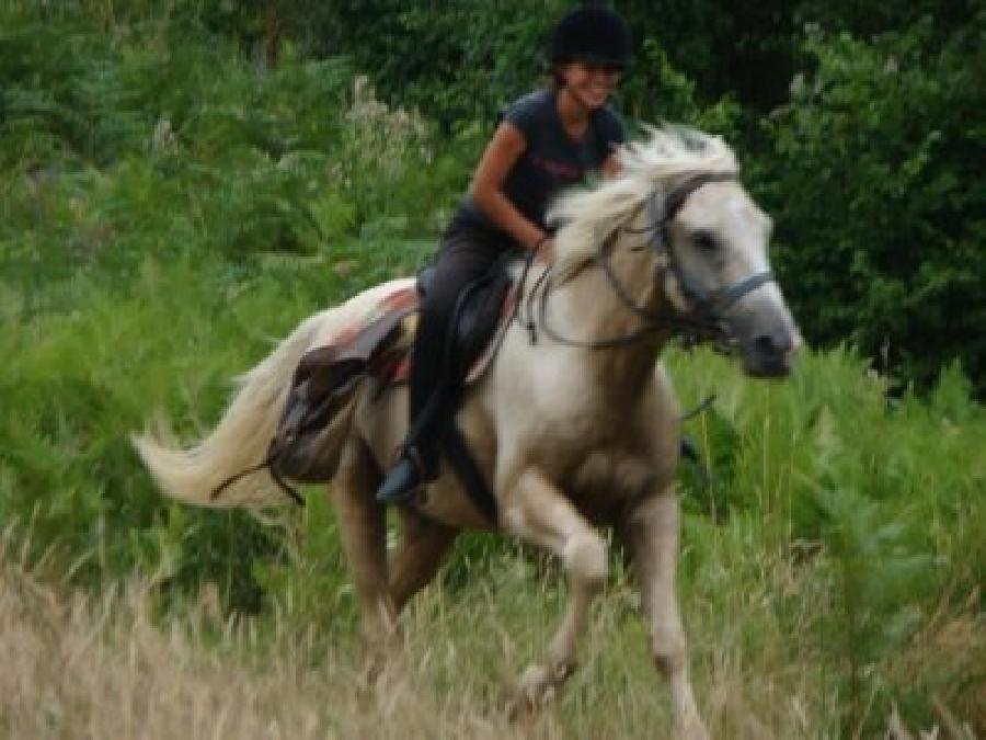 Stage quitation Haute-Garonne  photo 4