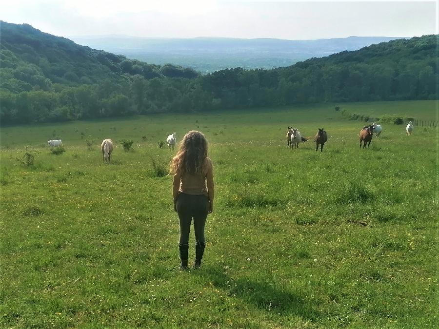 Balade  cheval Sane-et-Loire  photo 5