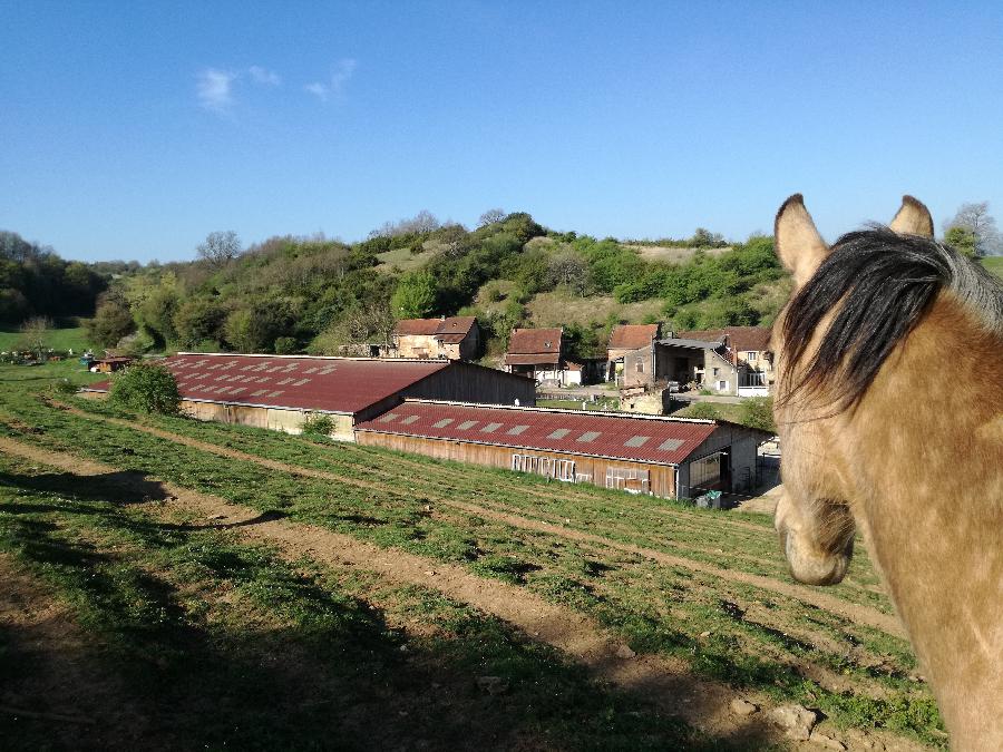 Balade  cheval Sane-et-Loire  photo 6