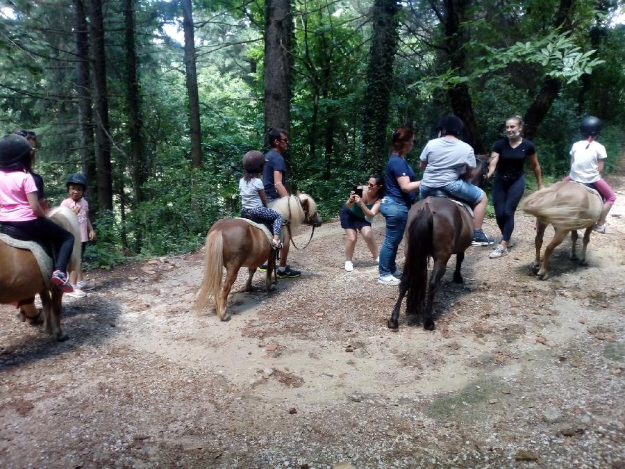 Stage équitation Gard Languedoc