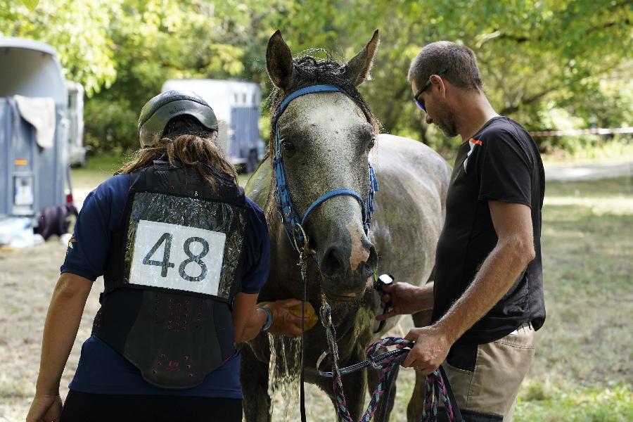 Stage équitation