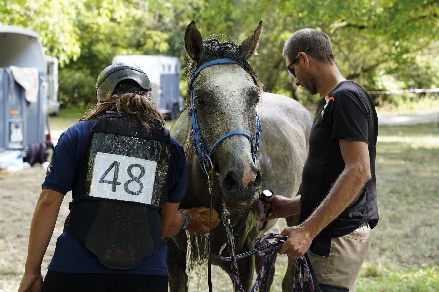 Balade  cheval Dordogne Prigord